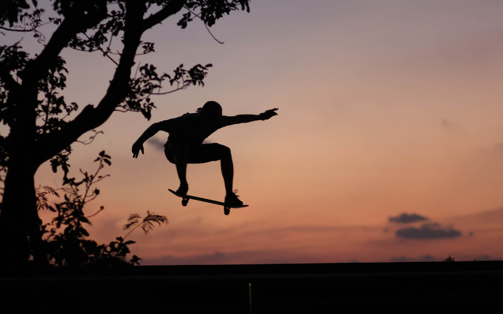 Image of a skater ollieing 