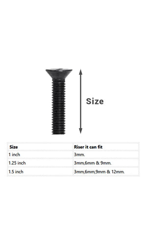 Skateboard Hardware (Nuts & Bolts)